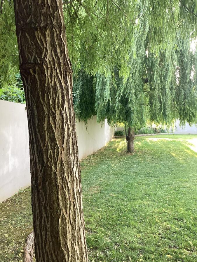 Villa Tartaya Dasziá Kültér fotó